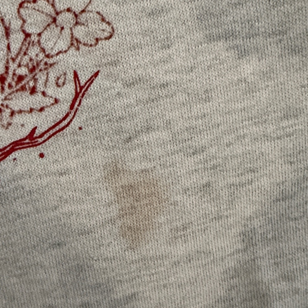 Levi's Light Gray Hoodie with Red Print - Picture 3 of 6